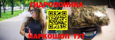 шишки Краснознаменск