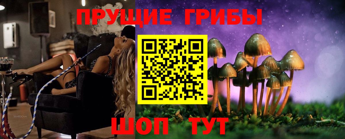 Ухта  Псилоцибиновые грибы GOLDEN TEACHER  Вход с VPN 
